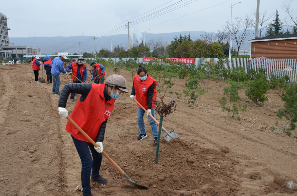 星火機床公司持續(xù)開展綠化工作